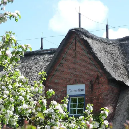 Sternhagens Landhaus 3* Oevenum