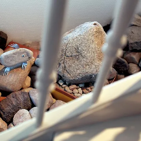 Hotel Sternhagens Landhaus 3*